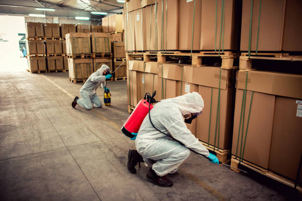 Best Flea Control Services  in Syracuse, UT