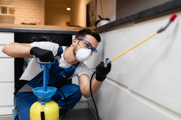 Pest Control for Restaurants in Syracuse, UT