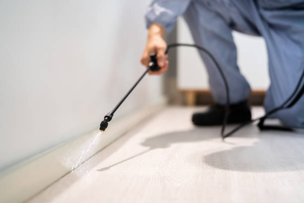 Flea Control Services in Syracuse, UT