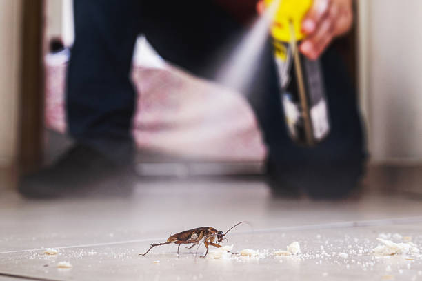 Best Pest Removal Services  in Syracuse, UT