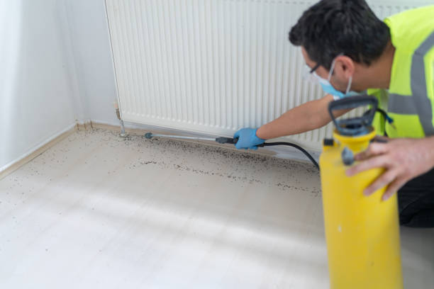Best Wasp Removal Services  in Syracuse, UT