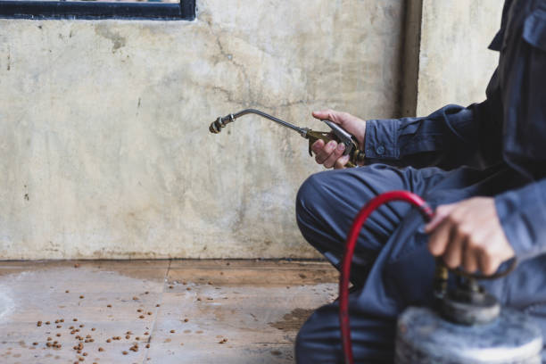 Best Emergency Pest Control  in Syracuse, UT