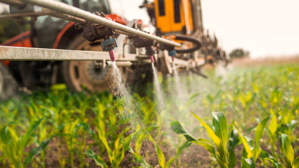 Best Wildlife Control Services  in Syracuse, UT